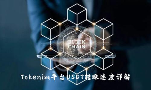 Tokenim平台USDT转账速度详解