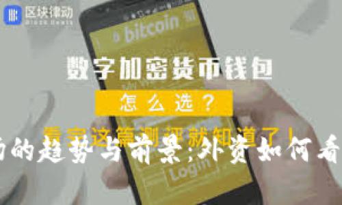 虚拟币市场的趋势与前景:外资如何看待数字货币