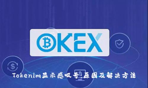Tokenim显示感叹号:原因及解决方法