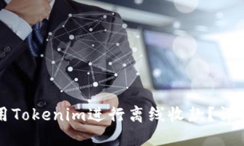 如何使用Tokenim进行离线收款?详解和指南