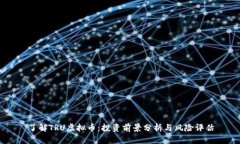 了解TRU虚拟币：投资前景分析与风险评估