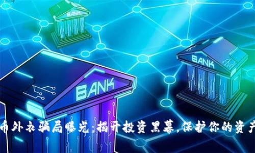 虚拟币外衣骗局曝光：揭开投资黑幕，保护你的资产安全