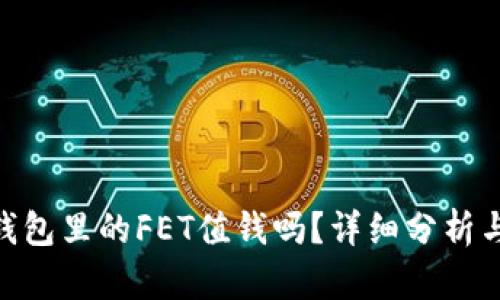 Tokenim钱包里的FET值钱吗?详细分析与投资指南