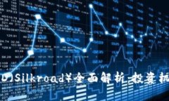 虚拟币SLD（Silkroad）全面解析：投资机遇与风险