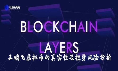 王鹏飞虚拟币的真实性及投资风险分析