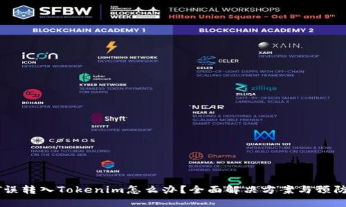 USDT误转入Tokenim怎么办？全面解决方案与预防措施
