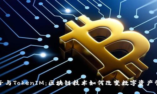 柚子与TokenIM：区块链技术如何改变数字资产管理