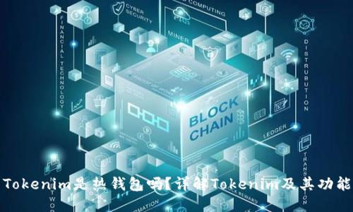 Tokenim是热钱包吗？详解Tokenim及其功能