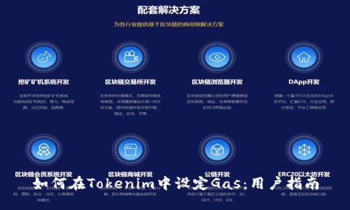 如何在Tokenim中设定Gas：用户指南