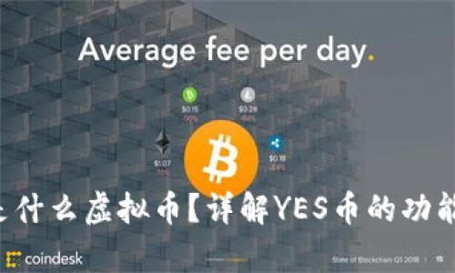 YES币是什么虚拟币？详解YES币的功能与前景