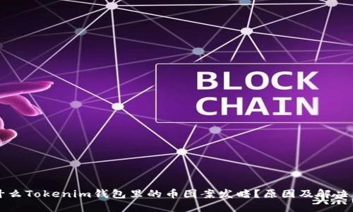 为什么Tokenim钱包里的币图案发暗？原因及解决方案