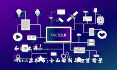 和关键词Mtnb虚拟币：全面解析与投资前景