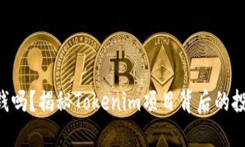 Tokenim能挣钱吗？揭秘Tokenim项目背后的投资机会与风险