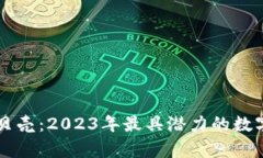虚拟币红贝壳：2023年最具潜力的数字资产解析