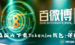 如何在国内下载Tokenim钱包：详细指南