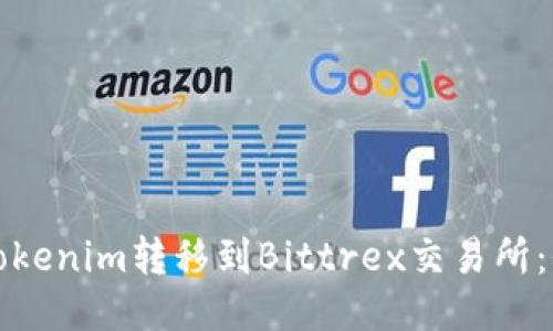 如何将Tokenim转移到Bittrex交易所：全面指南