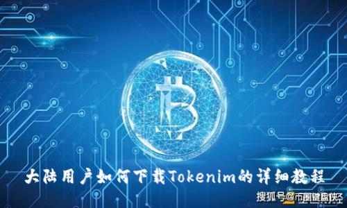 大陆用户如何下载Tokenim的详细教程