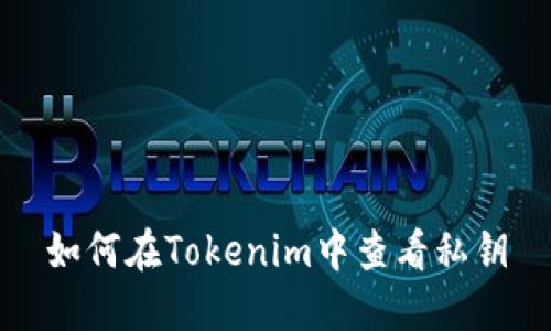 如何在Tokenim中查看私钥