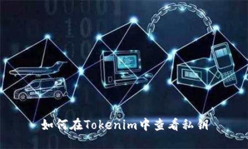 如何在Tokenim中查看私钥
