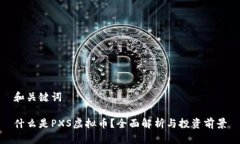 和关键词什么是PXS虚拟币？全面解析与投资前景