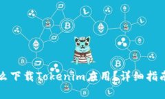 国内手机怎么下载Tokenim应用？详细指南与注意事