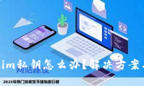 忘记Tokenim私钥怎么办？解决方案与防范措施