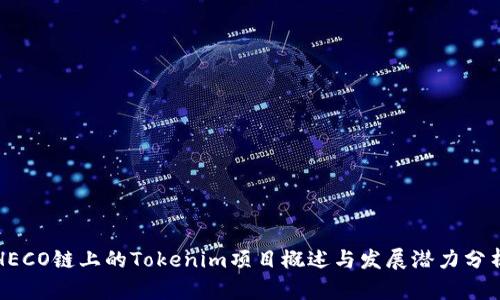 HECO链上的Tokenim项目概述与发展潜力分析