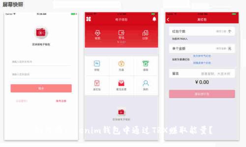 如何在Tokenim钱包中通过TRX赚取能量？