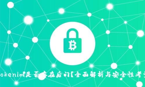 Tokenim是否存在后门？全面解析与安全性考量