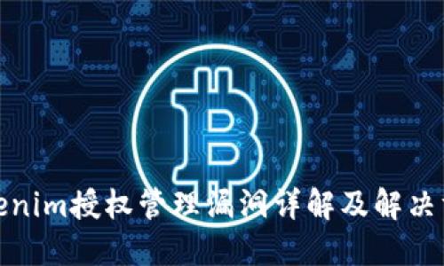 Tokenim授权管理漏洞详解及解决方案