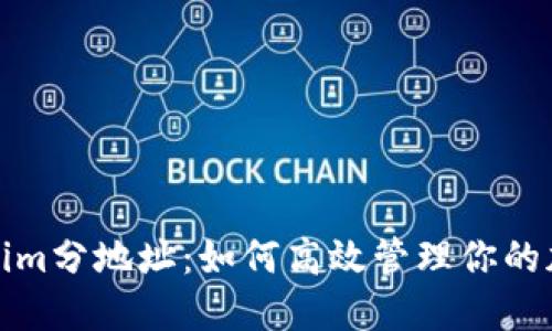 : Tokenim分地址：如何高效管理你的加密资产