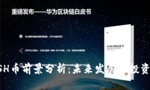 KCASH币前景分析：未来发展与投资机会