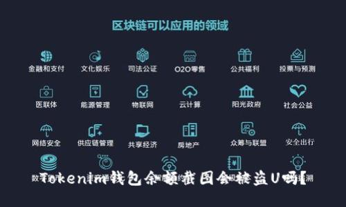 Tokenim钱包余额截图会被盗U吗？