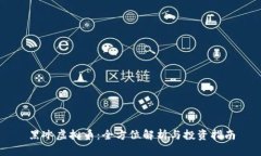 黑冰虚拟币：全方位解析与投资指南