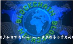 大陆用户如何下载Tokenim：一步步指导与常见问题