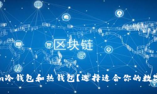 什么是Tokenim冷钱包和热钱包？选择适合你的数字资产储存方式