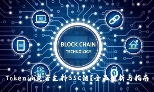 Tokenim是否支持BSC链？全面解析与指南