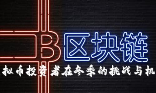 虚拟币投资者在冬季的挑战与机遇