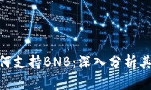 Tokenim如何支持BNB：深入分析其功能与潜力