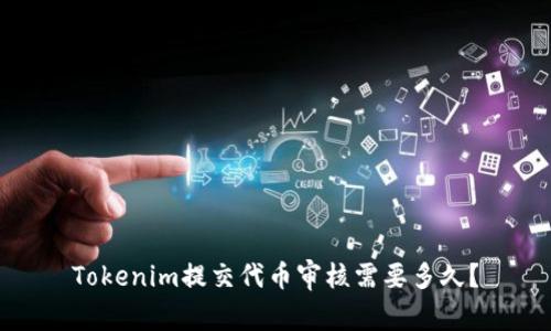 Tokenim提交代币审核需要多久？