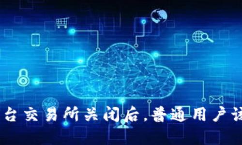 Tokenim平台交易所关闭后，普通用户该如何应对？