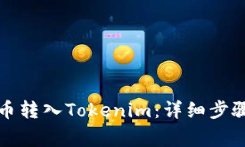 如何将人民币转入Tokenim：详细步骤与注意事项