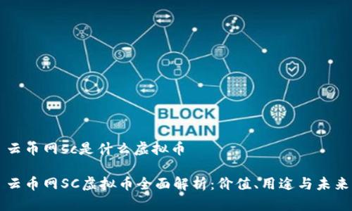 云币网sc是什么虚拟币

云币网SC虚拟币全面解析：价值、用途与未来