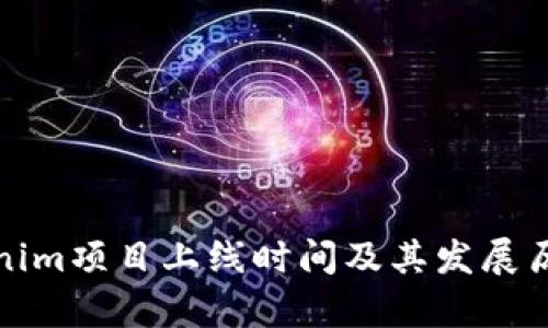 : Tokenim项目上线时间及其发展历程解析
