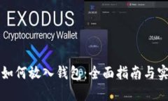 虚拟币如何放入钱包：全面指南与实用技巧