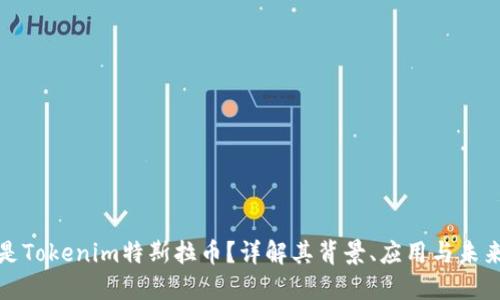 什么是Tokenim特斯拉币？详解其背景、应用与未来趋势