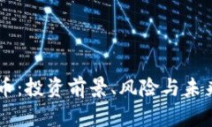 司徒虚拟币：投资前景、风险与未来趋势分析