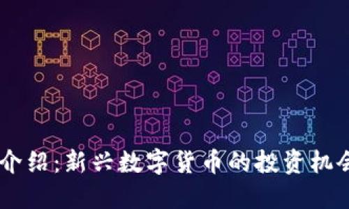 SHQC虚拟币介绍：新兴数字货币的投资机会与潜在风险