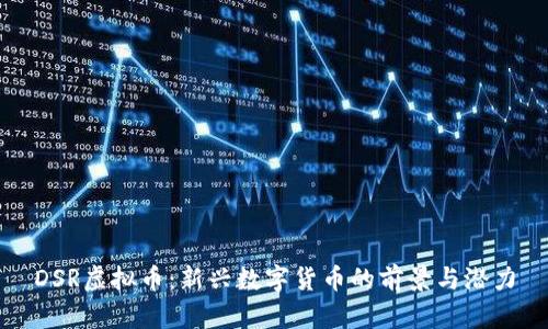 DSR虚拟币：新兴数字货币的前景与潜力