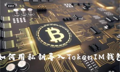 如何用私钥导入TokenIM钱包